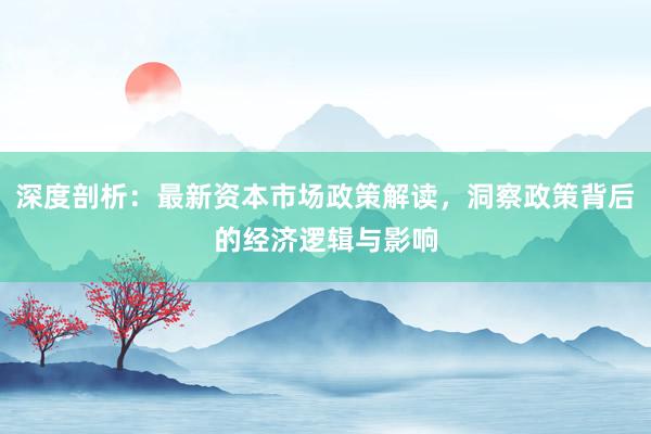 深度剖析：最新资本市场政策解读，洞察政策背后的经济逻辑与影响