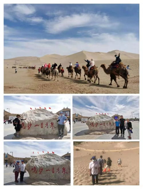 爱旅游丨记者田震带队 包火车 游新疆 团友们玩嗨了